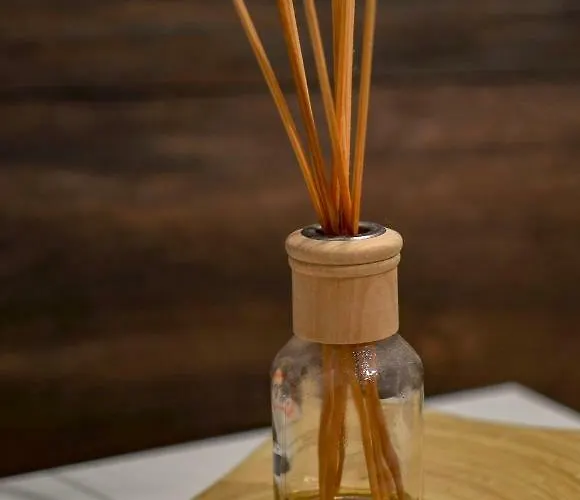 Lägenhet Cute Sunny Kod1